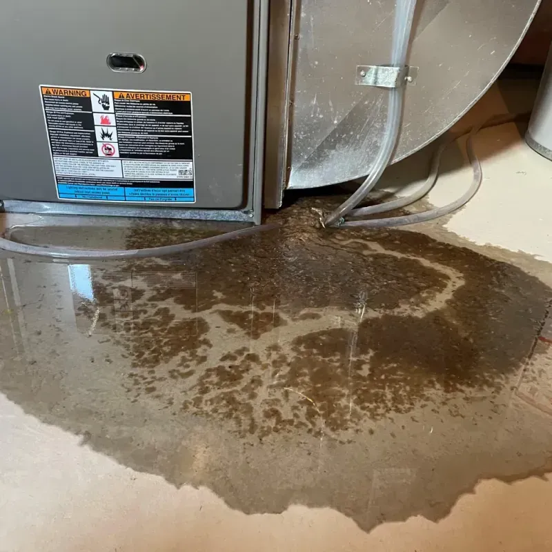 Appliance Leak Cleanup in Crownpoint, NM